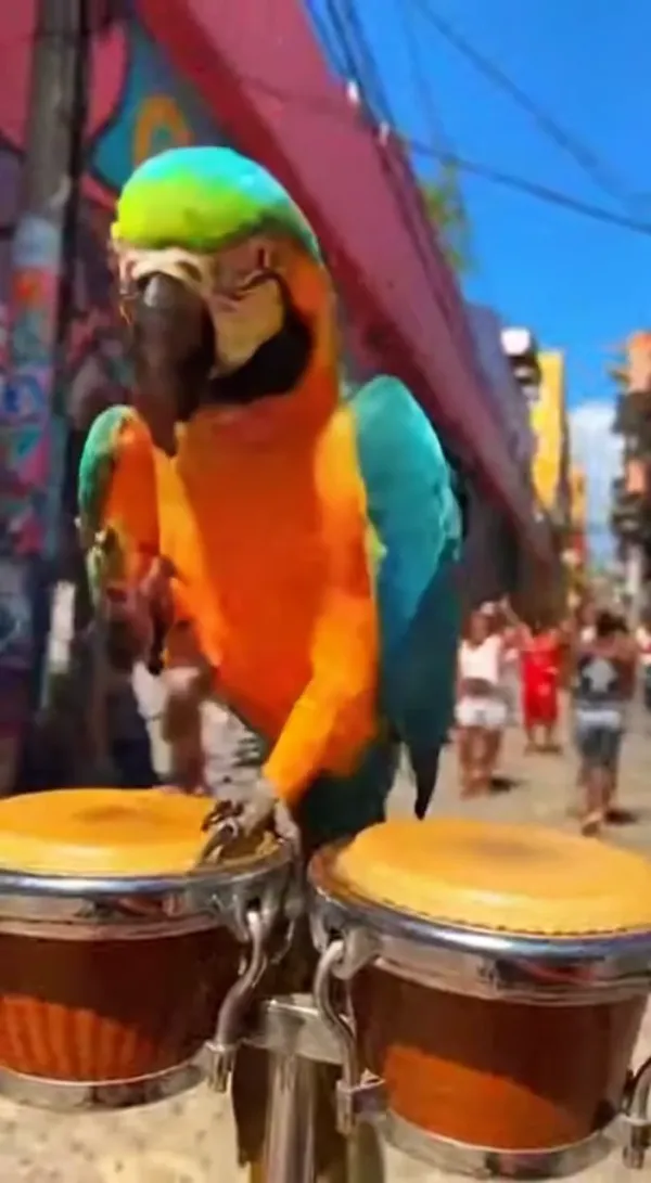Cute Animals Playing Musical Instruments for Family Music Clips AI Video Generator