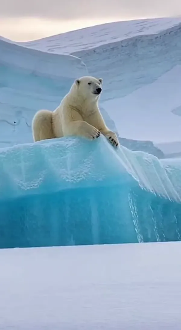 Epic & Hilarious Unexpected Moment Viral Clip AI Video Generator 