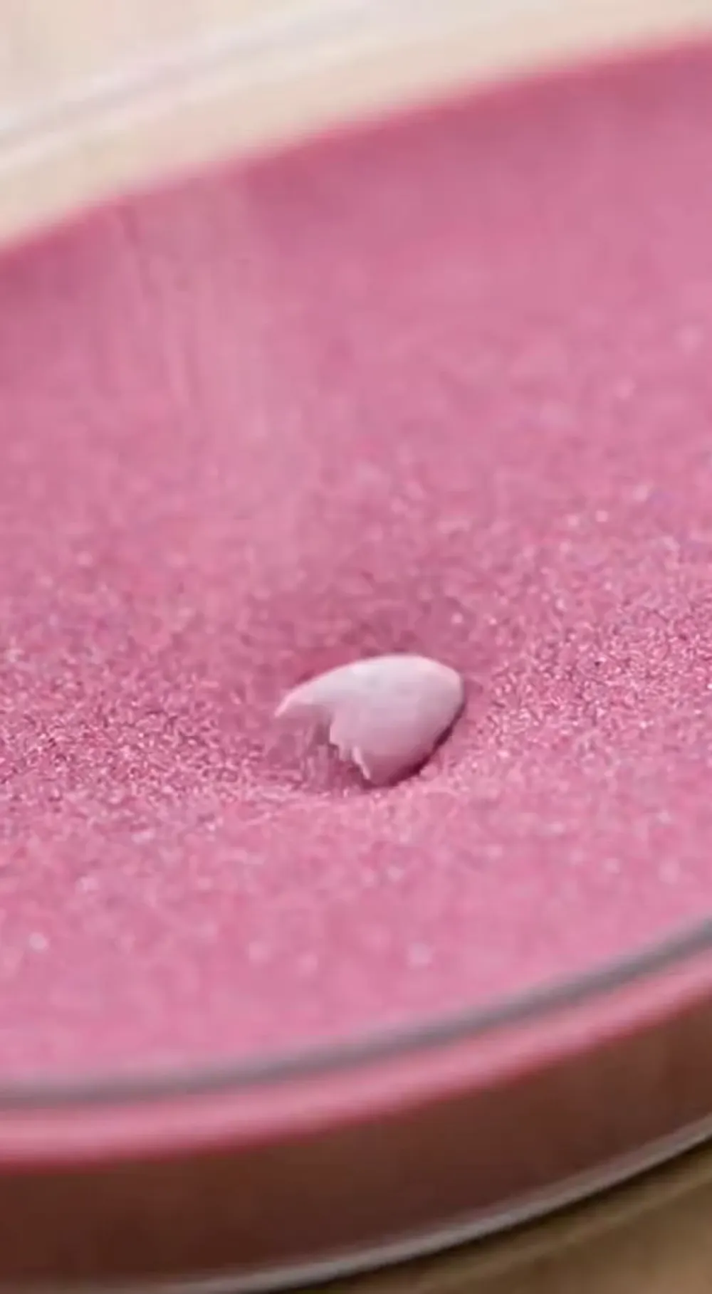 Playful Surreal Petri Dish Growing Anything Scene AI Video Generator