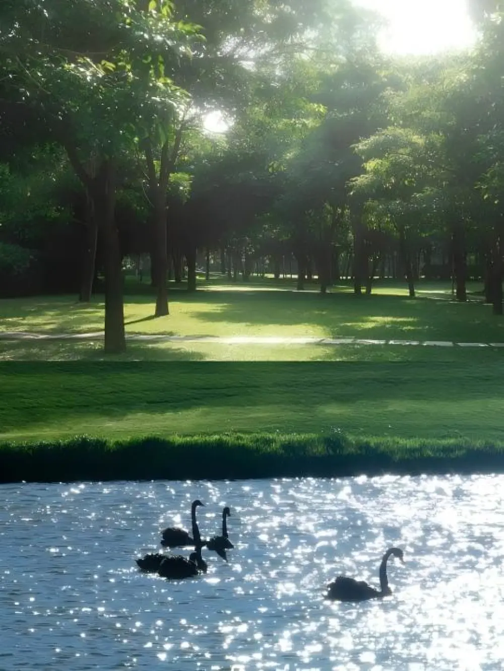 park