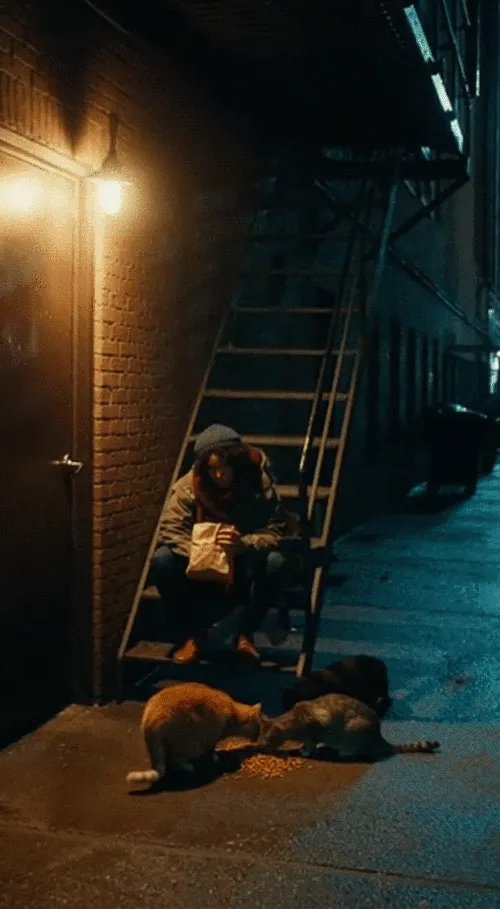 City Train Night Scene Vibe