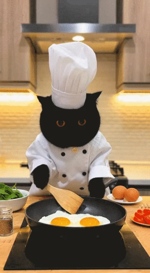 The Cat Chef