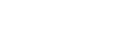 IMINI_logo